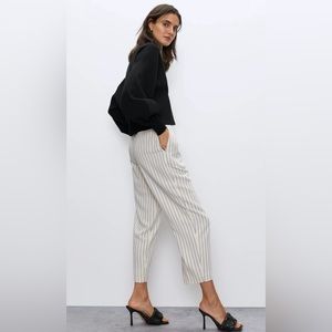 Aritzia Modesto Pant